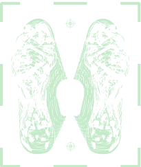 Nike Shoe